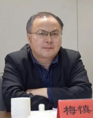 梅慎实